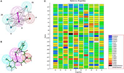 Pharmacophore-Based Virtual Screening Toward the Discovery of Novel Anti-echinococcal Compounds